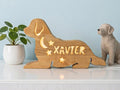 Personalized Dog Night Light Wood, Custom Name Kids Lamp Golden Retriever, Nurse